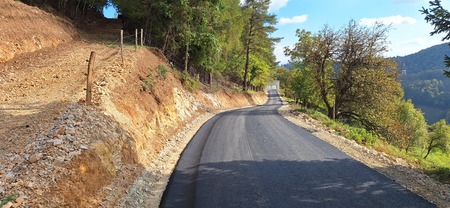 Kostanjevica 1